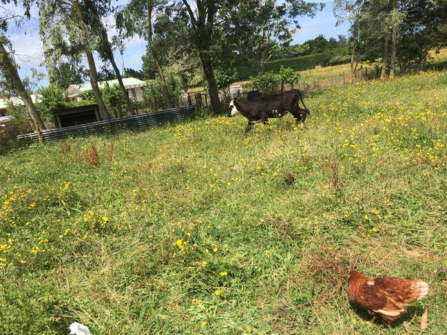 201701251118282888305[1]