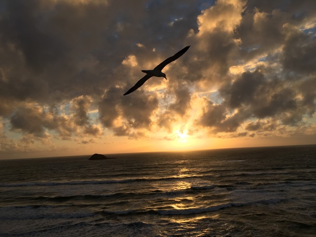 201701251117003520400[1]