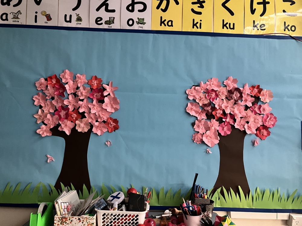 grade 3,4,5,6 sakura