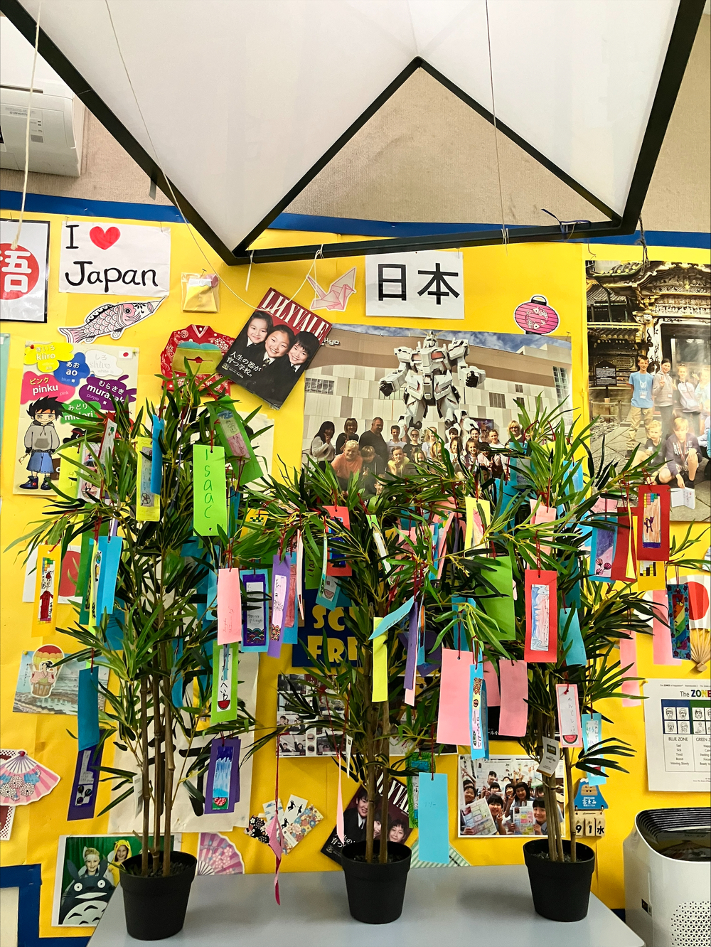 processed-11516E39-4900-4E00-B5AA-FA17D9A1709F