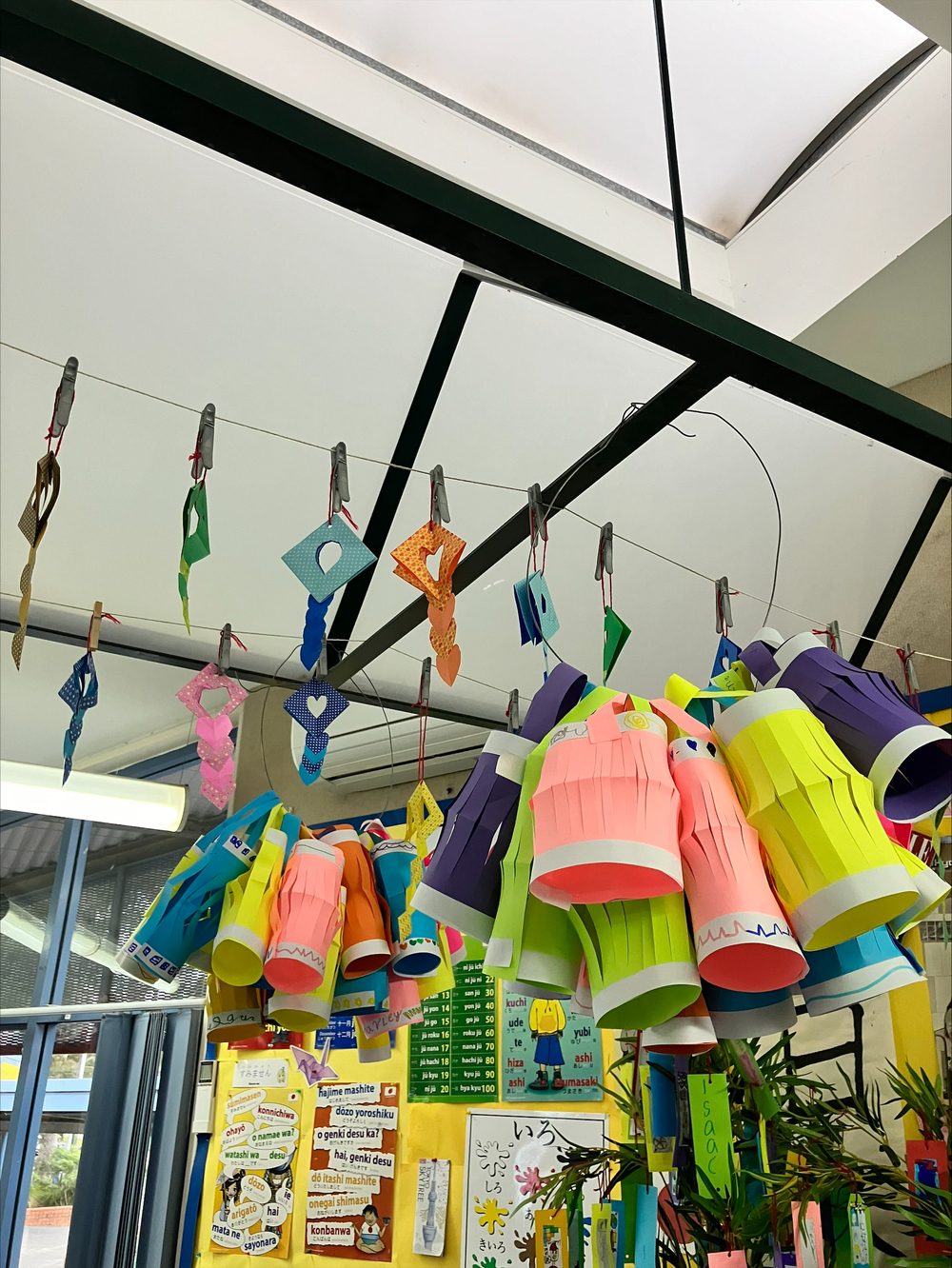 processed-A7B176B9-E6DF-4EA0-AA98-CF2268DE109D