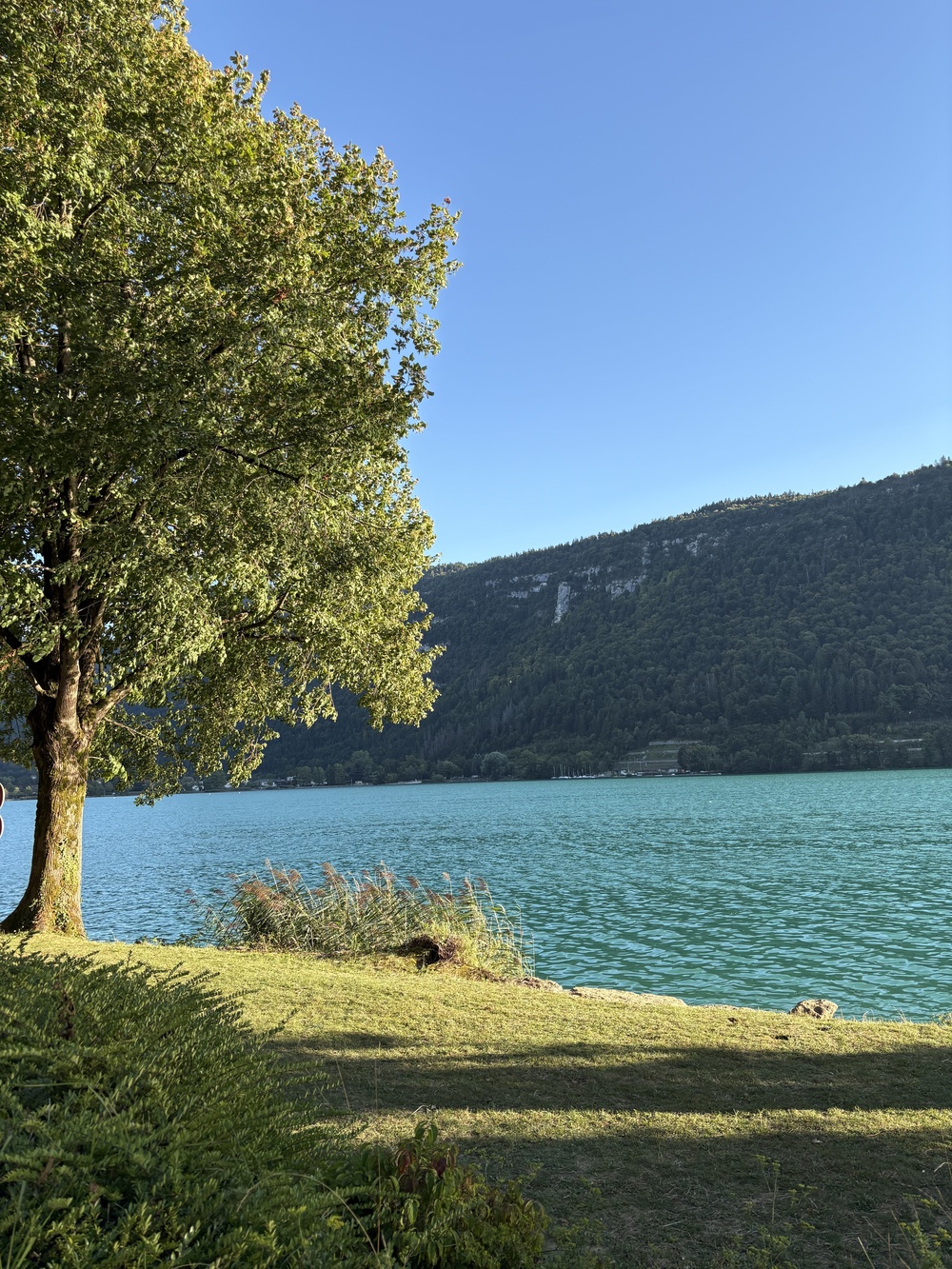 湖の写真 写真3