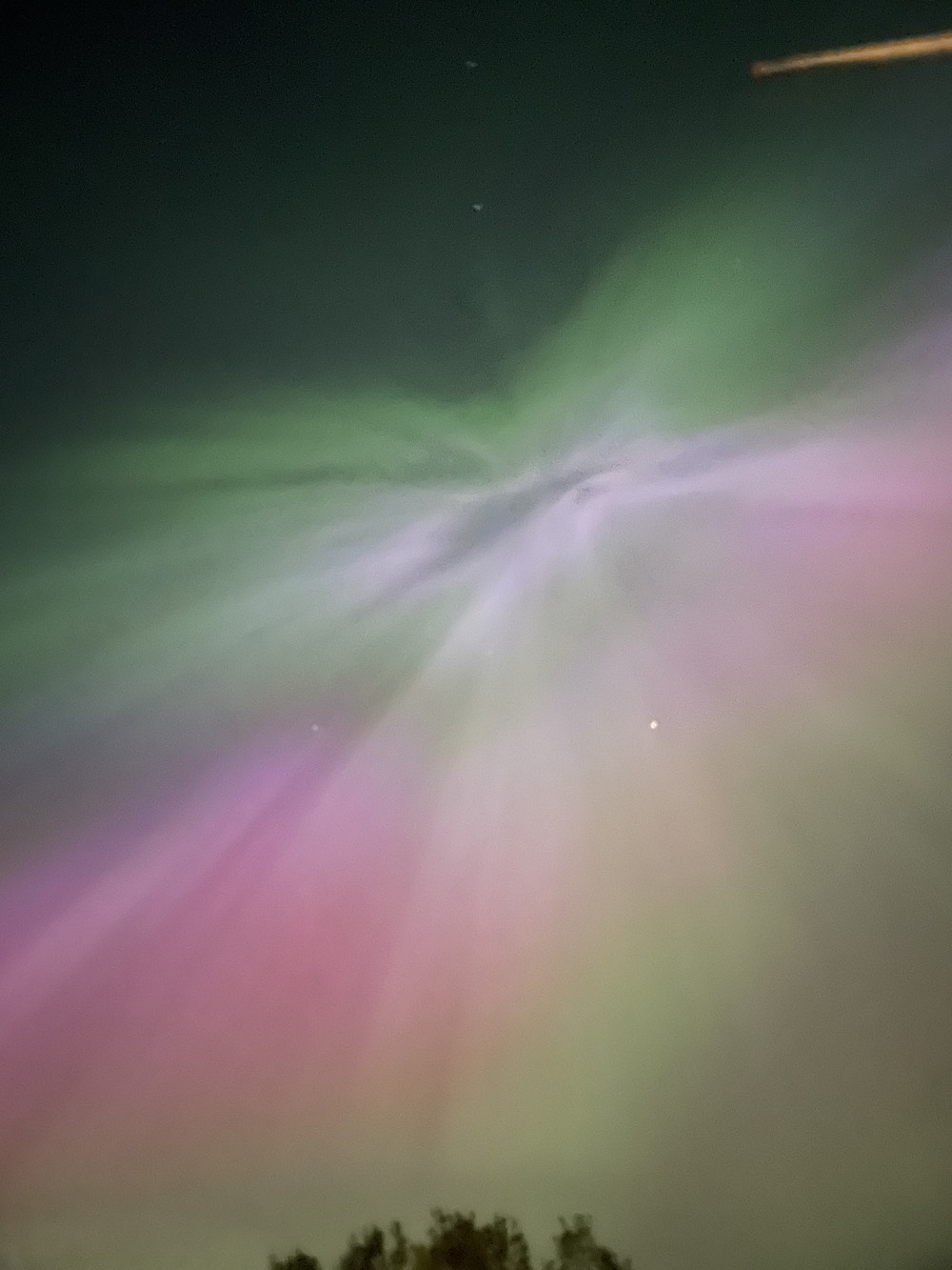 月次レポート写真2